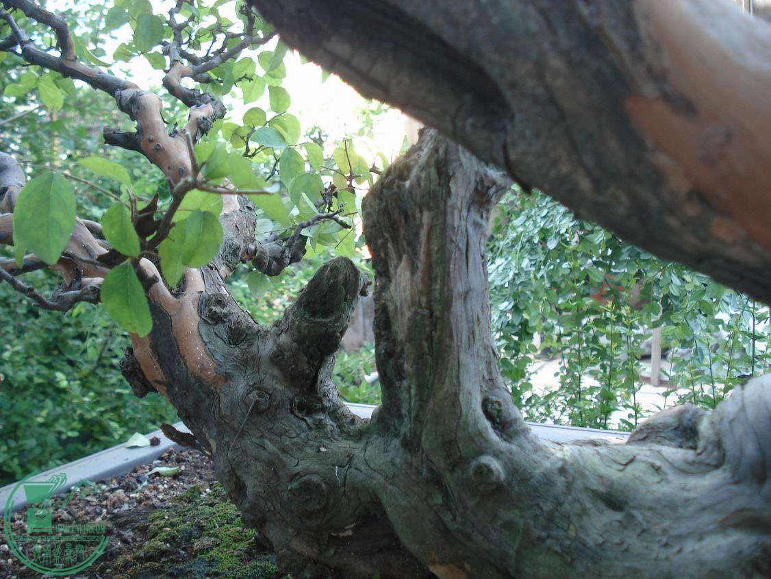 DSC00108.JPG