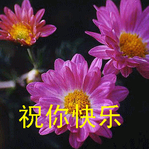 20071222_3a869184722abcc9c9bc5RoUh8EmiHuf.gif