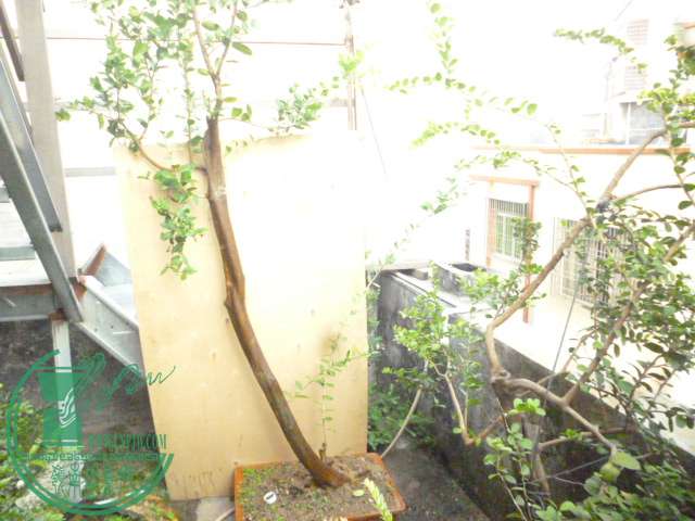 P1140841.JPG