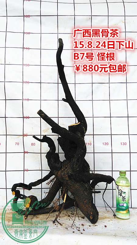 IMG_20150824_133917_.jpg