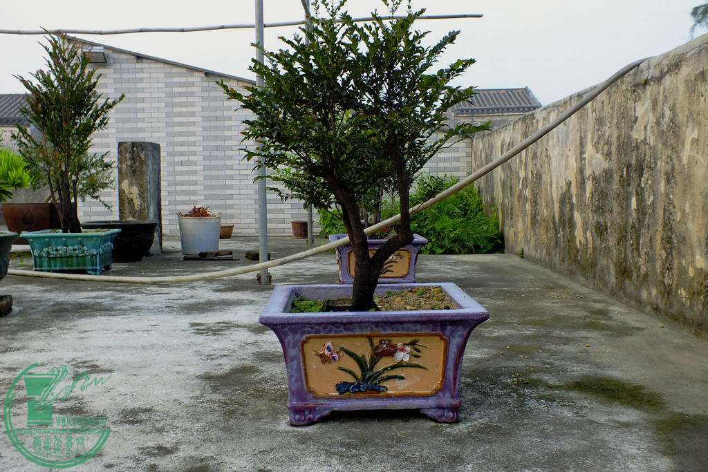 001.JPG