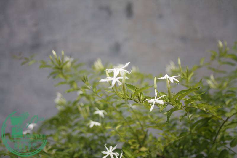 Ƭ20131026ۺ 3833.jpg