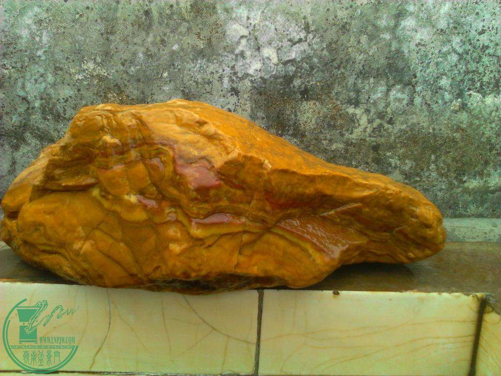  YP20150828150657.jpeg