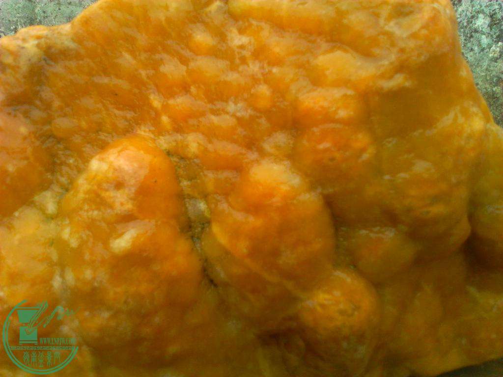  YP20150828151523.jpeg