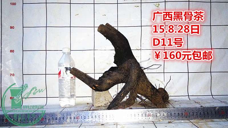 IMG_20150828_191711_.jpg