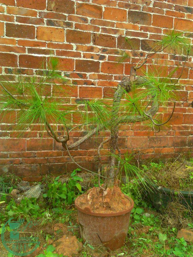  YP20150829104218.jpeg