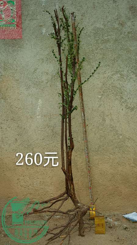 676722