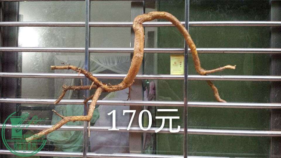 QQͼƬ20150830192634.jpg
