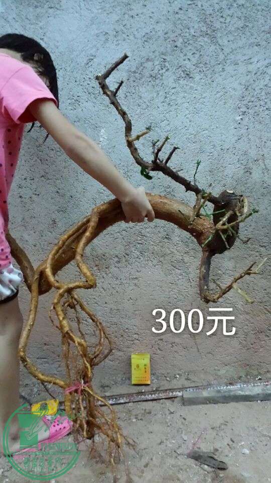 QQͼƬ20150830192820.jpg