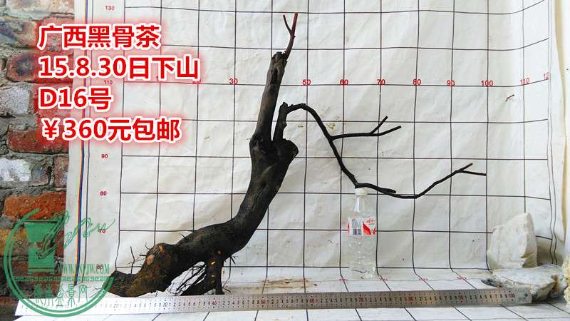 IMG_20150830_155729_.jpg