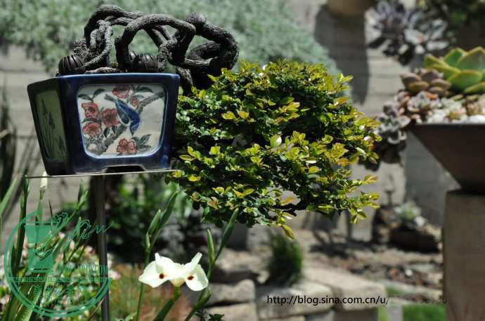 2010.04.08..ԺˑB.jpg