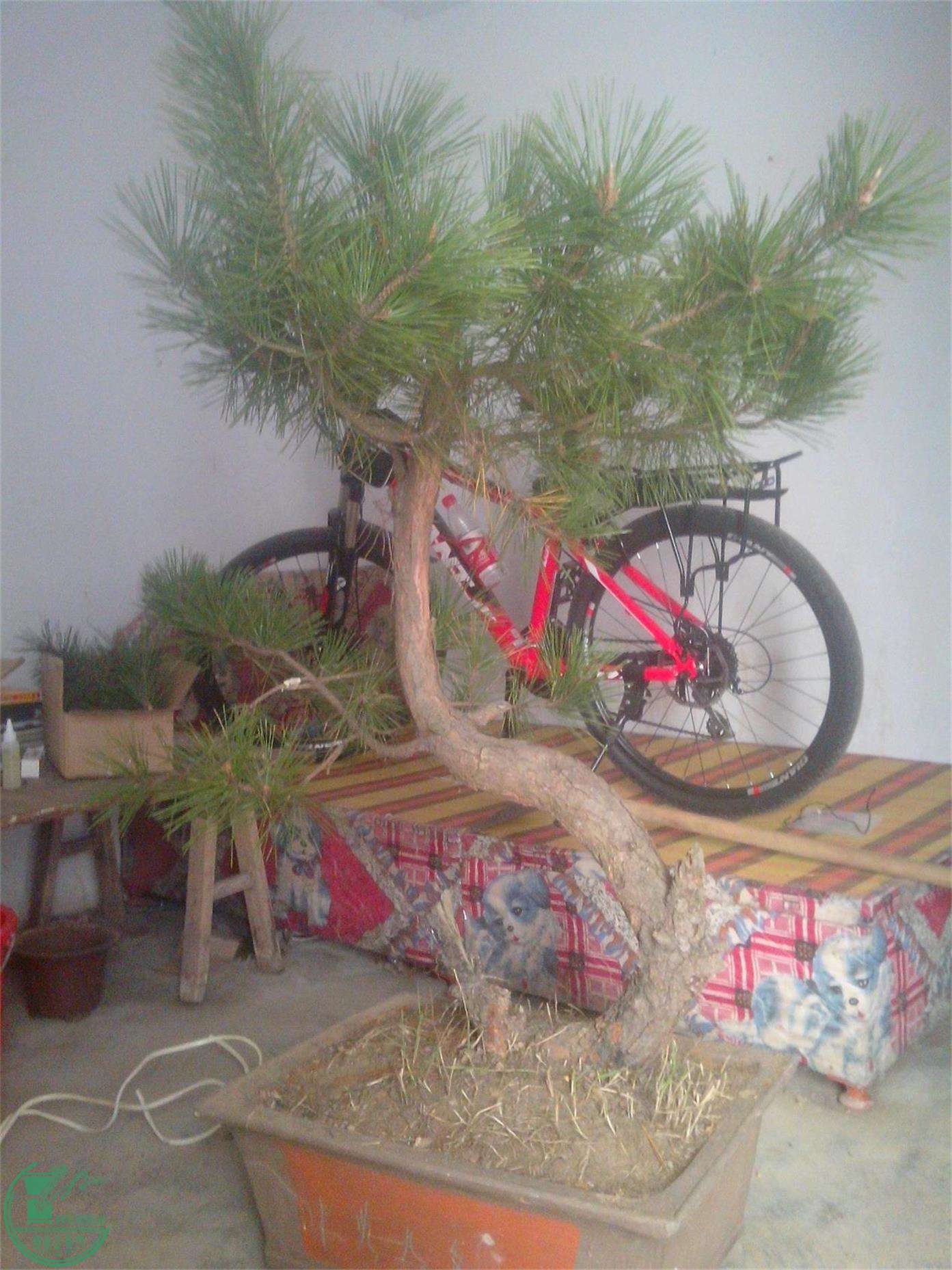 IMG20141119005.jpg