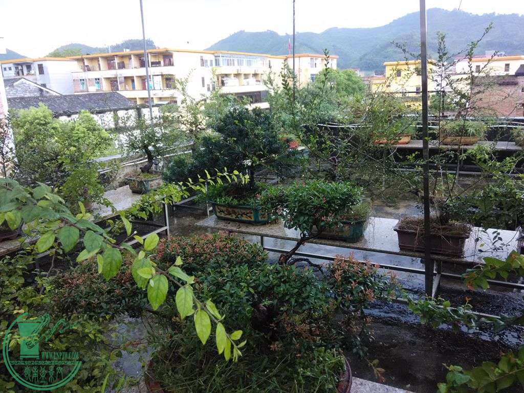 IMG_20150904_140951_.jpg
