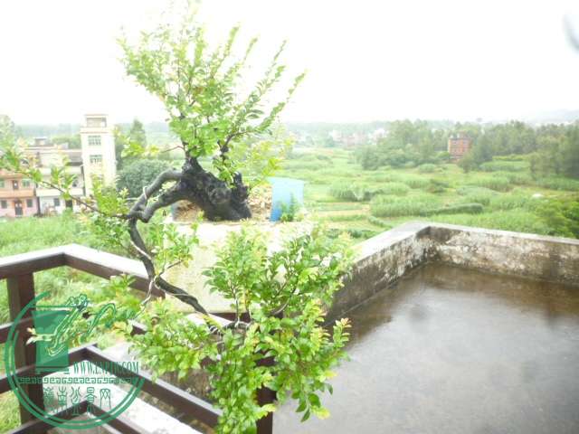 P1140860.JPG