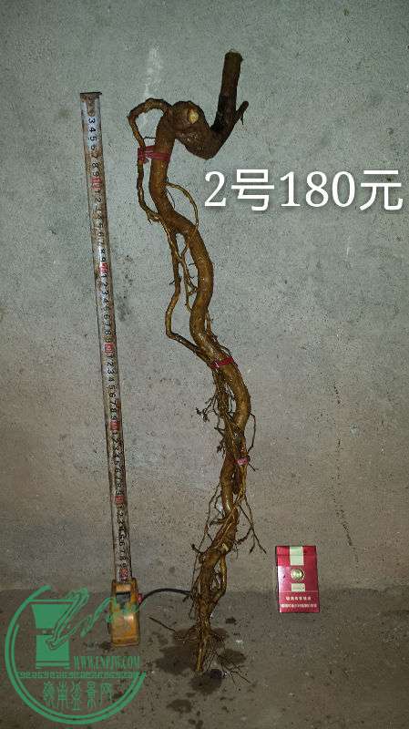 678165