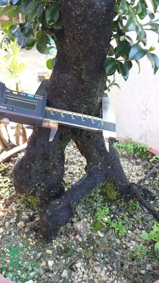 137.jpg