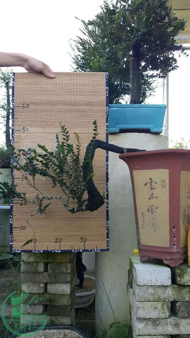 134.jpg