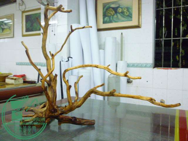 P1080402.JPG