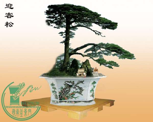 eb5d8034aadbe72590ef391e.jpg