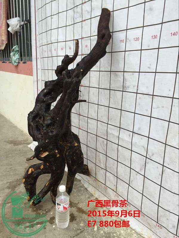 QQͼƬ20150906204451_.jpg