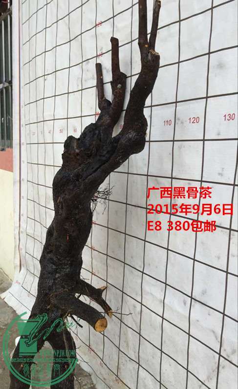 QQͼƬ20150906204506_.jpg