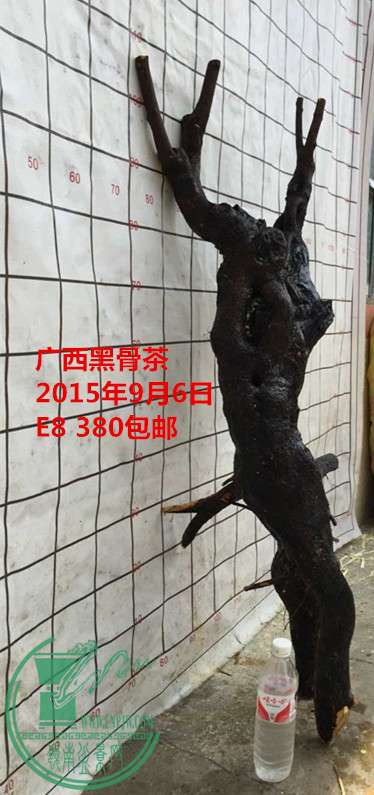 QQͼƬ20150906204510_.jpg