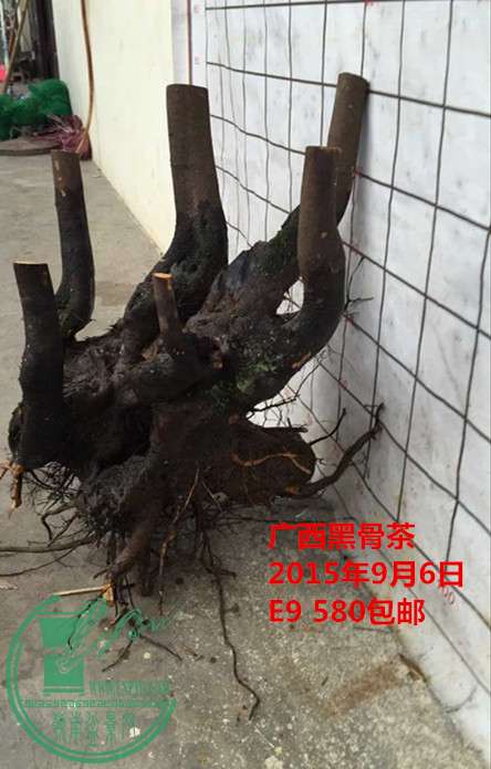 QQͼƬ20150906204533_.jpg