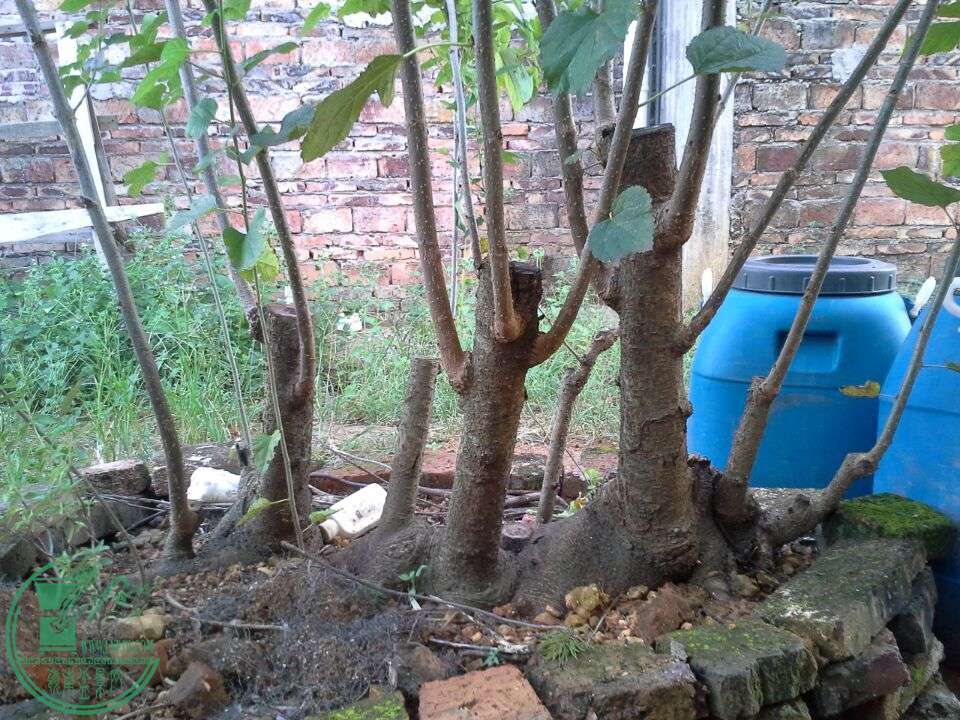 20150907180740.jpg