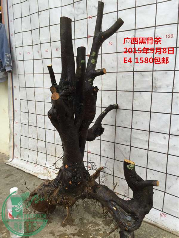 QQͼƬ20150908160632_.jpg