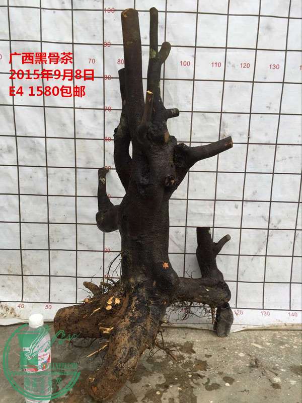 QQͼƬ20150908160716_.jpg
