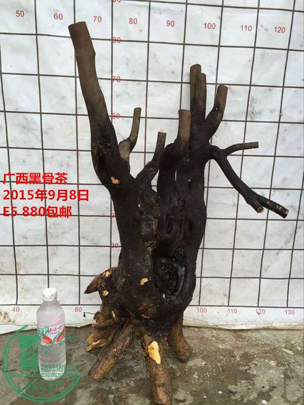 QQͼƬ20150908160739_.jpg