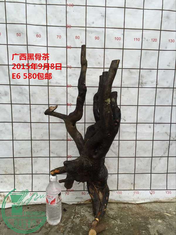 QQͼƬ20150908160810_.jpg