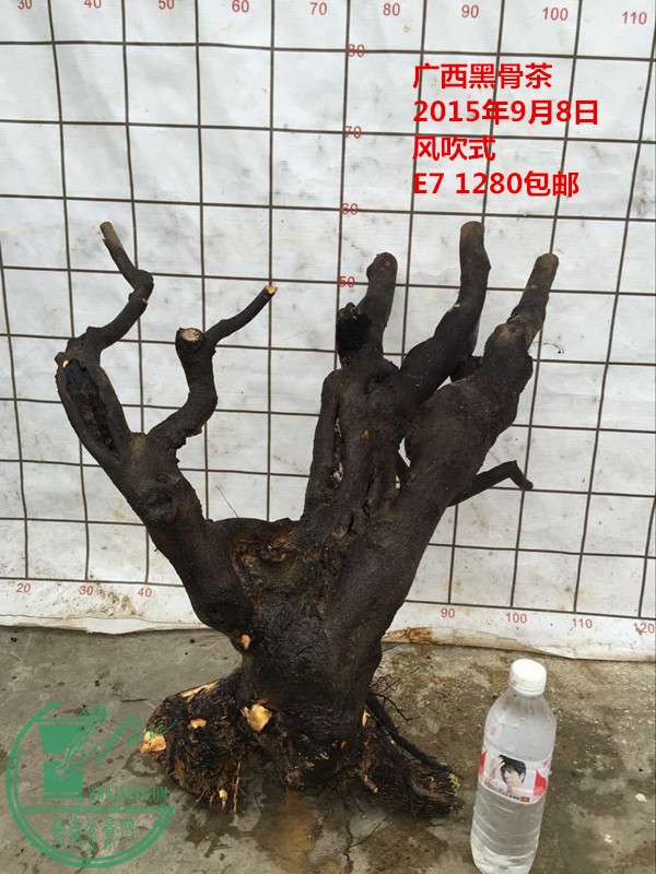 QQͼƬ20150908160827_.jpg