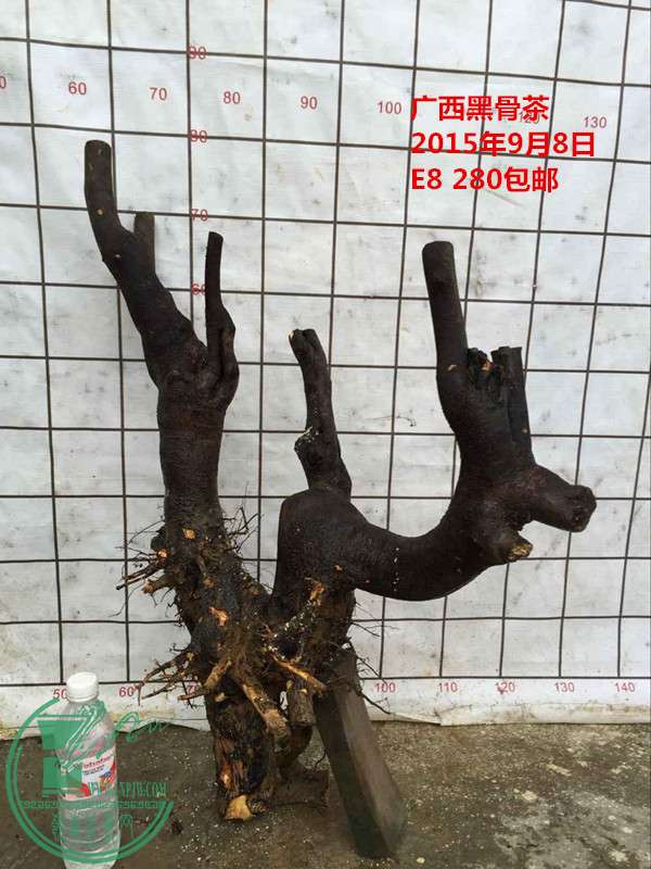QQͼƬ20150908160853_.jpg