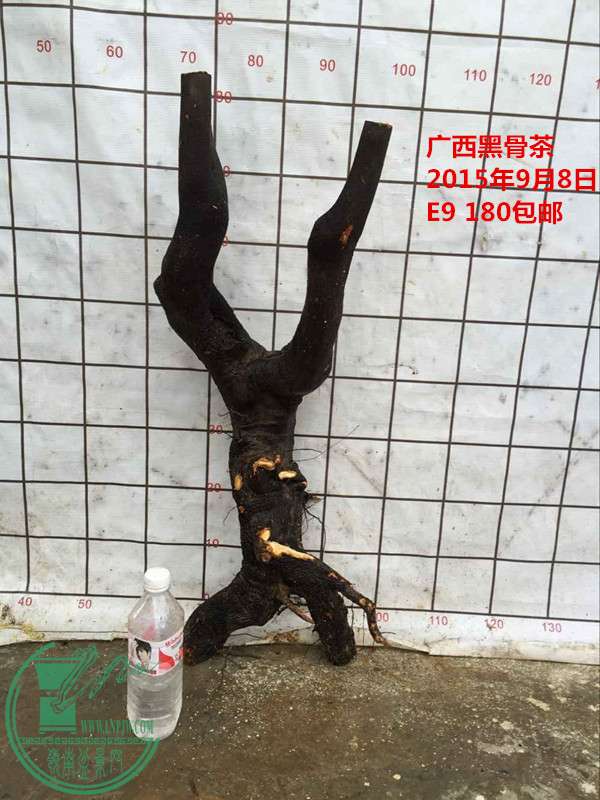 QQͼƬ20150908160902_.jpg