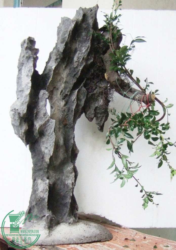 DSCF6468.JPG