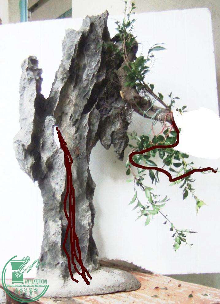 DSCF6469.JPG
