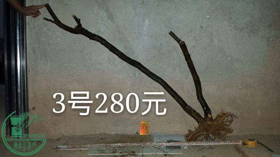 QQͼƬ20150908211429.jpg