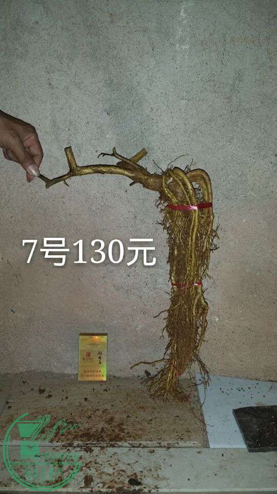 QQͼƬ20150908211505.jpg