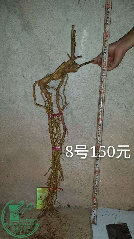 QQͼƬ20150908211511.jpg