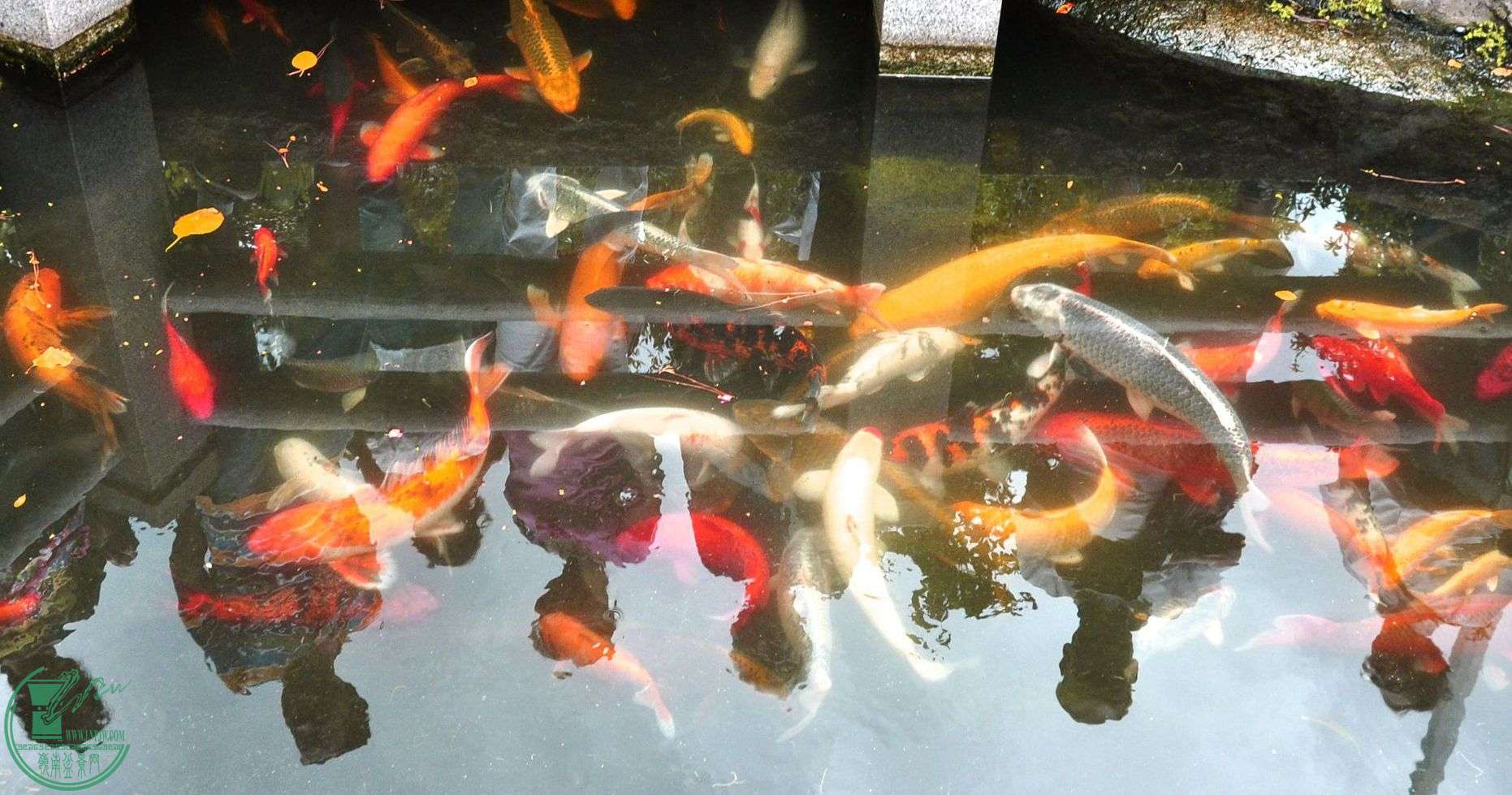 _DSC0048___.jpg