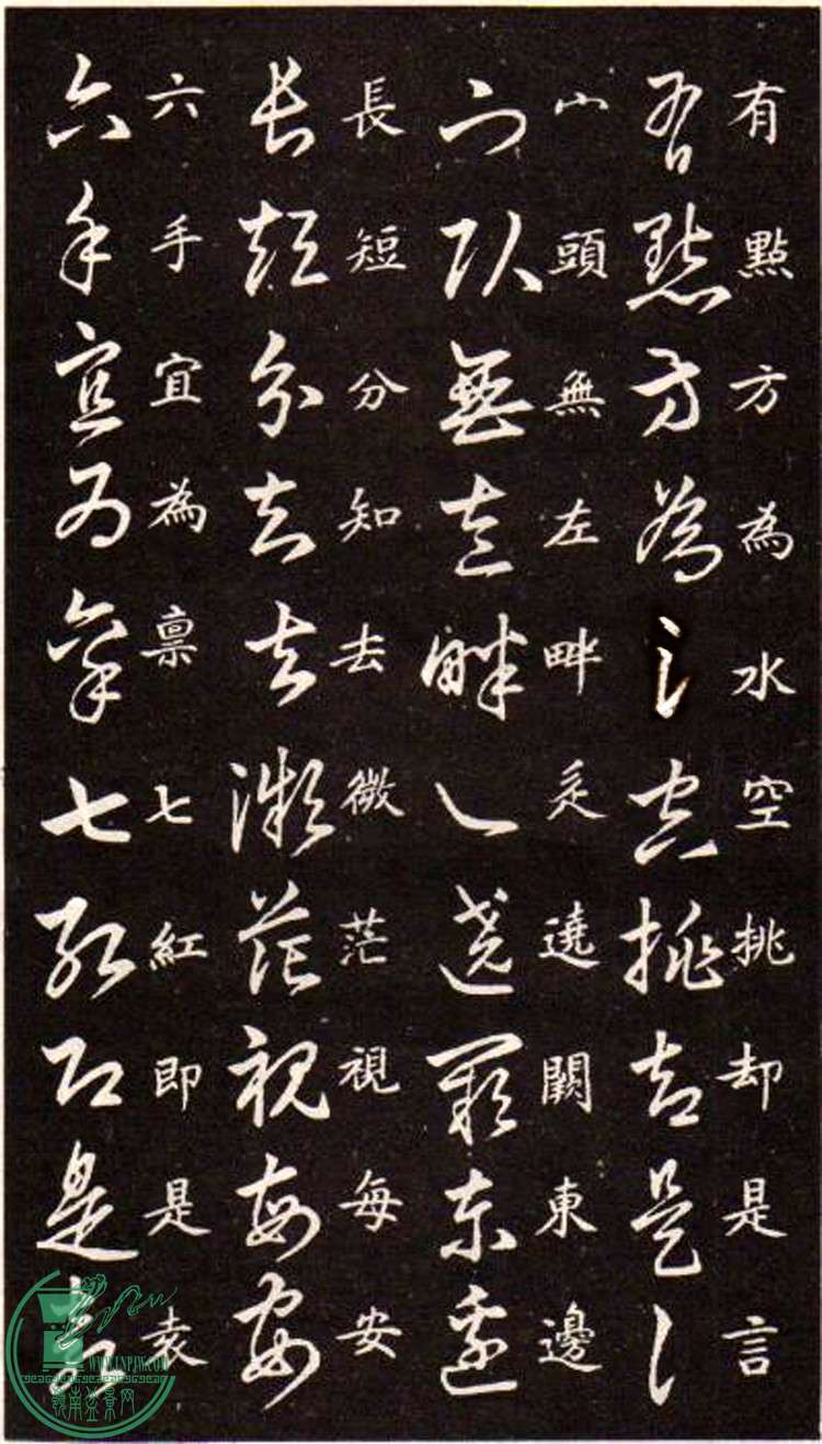47443862_3.jpg