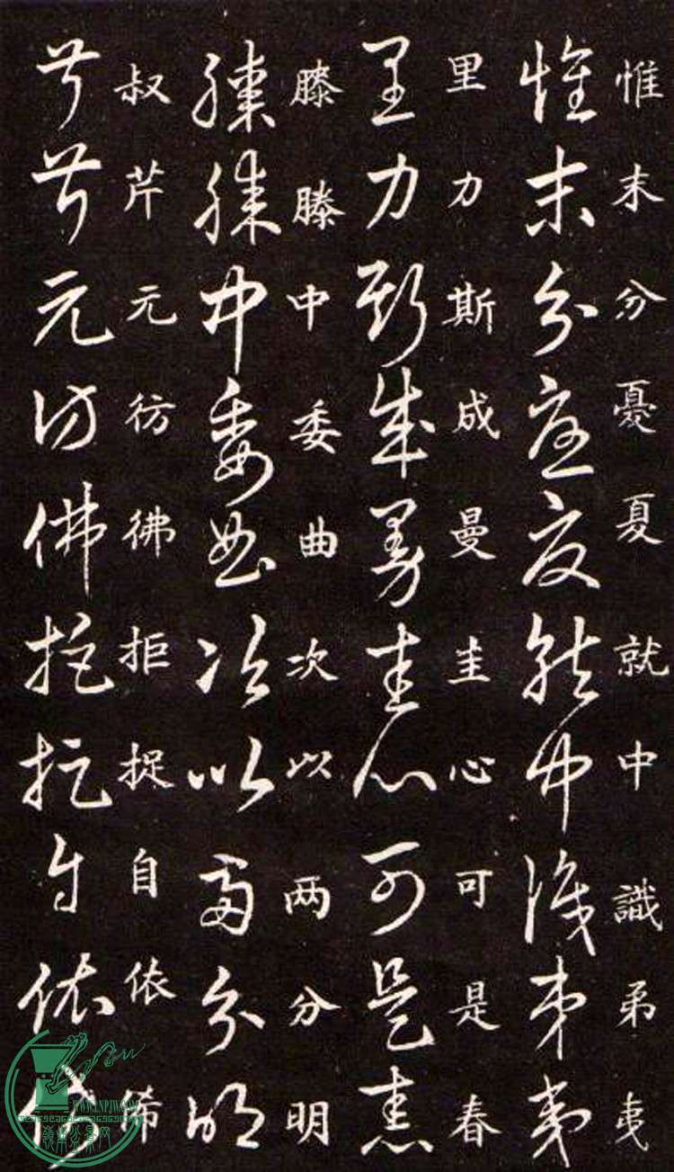 47443862_10.jpg