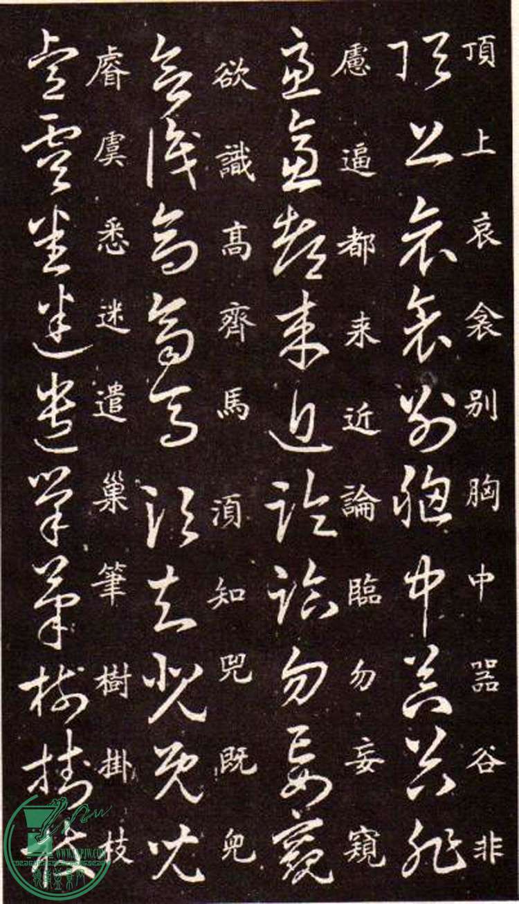 47443862_11.jpg