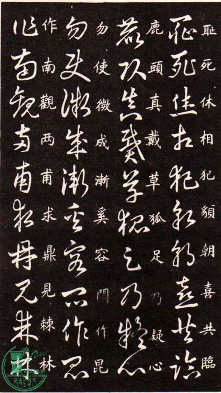 47443862_16.jpg