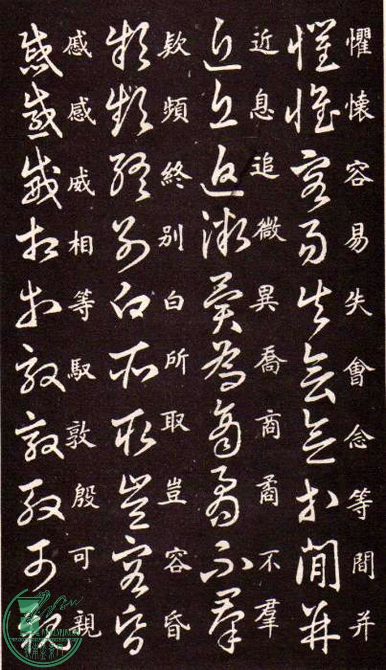 47443862_19.jpg