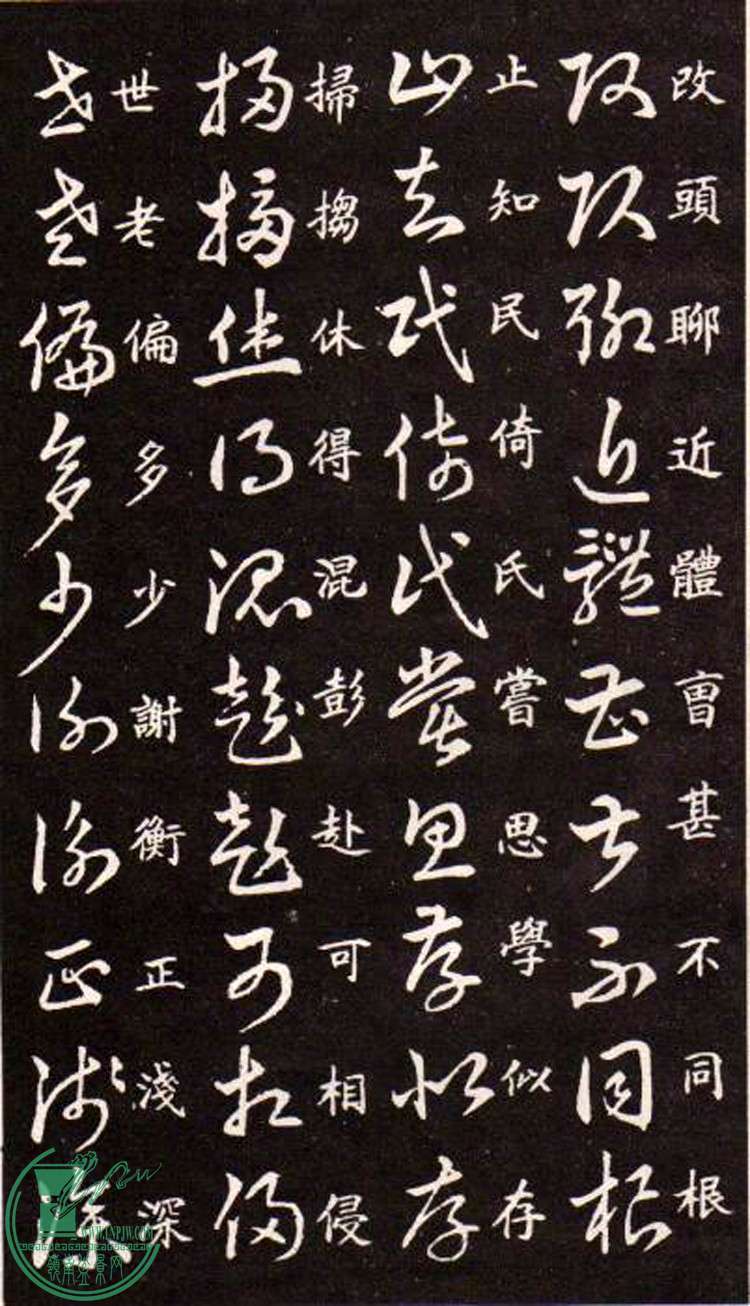 47443862_20.jpg