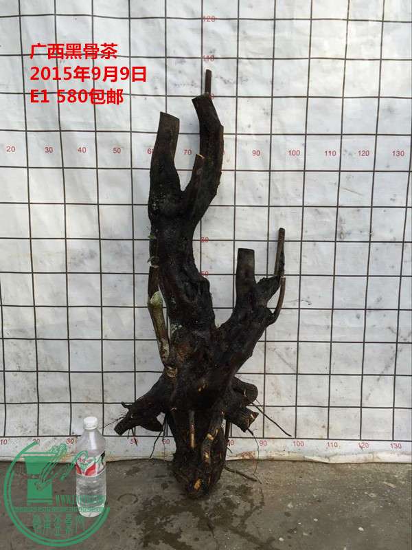 QQͼƬ20150909184035_.jpg