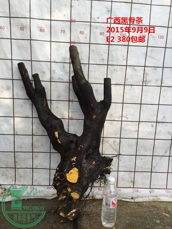 QQͼƬ20150909184113_.jpg