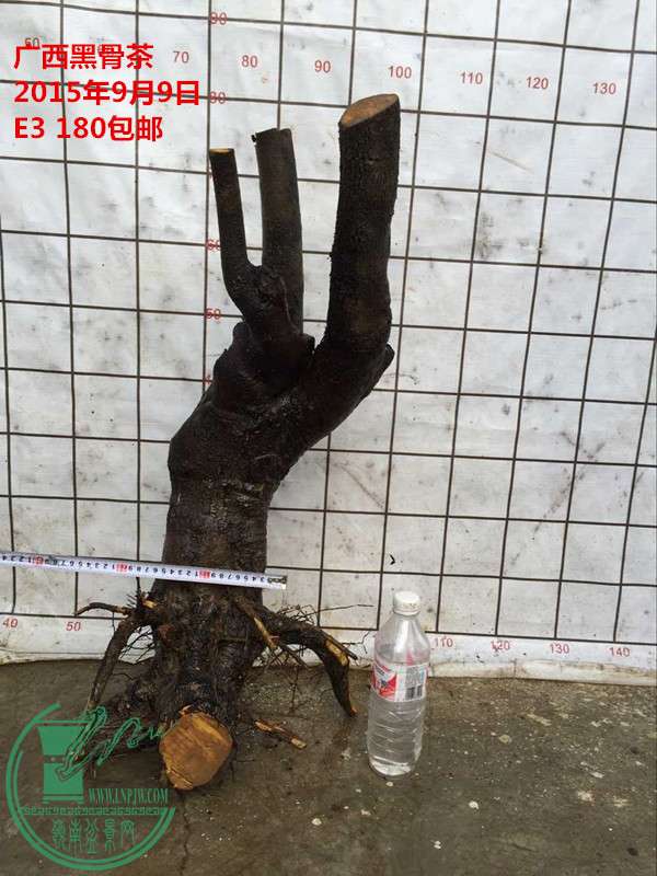 QQͼƬ20150909184139_.jpg